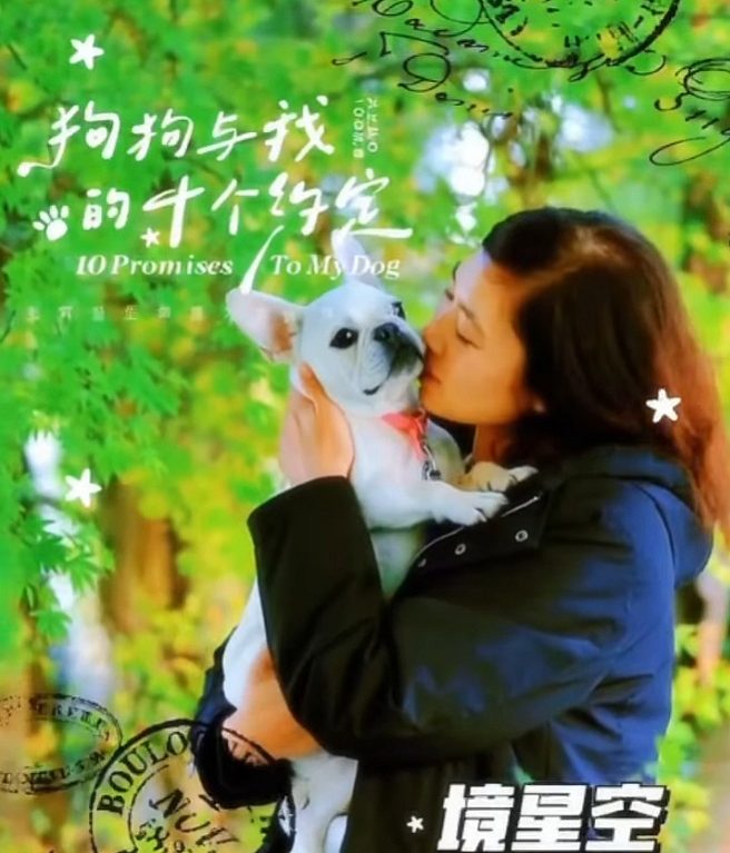 清境友善寵物-境星空